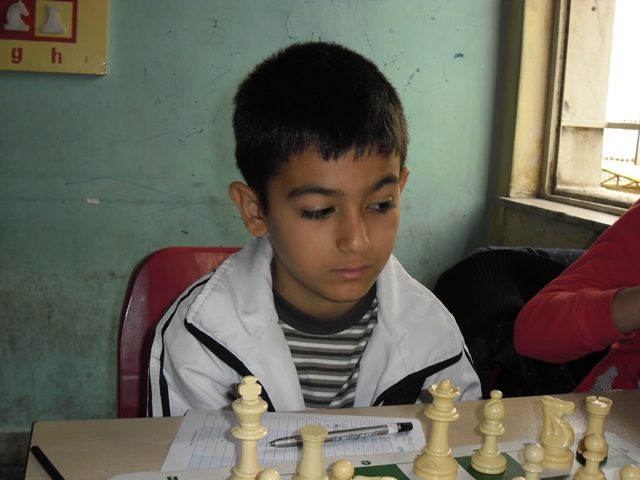 پویا تهرانی